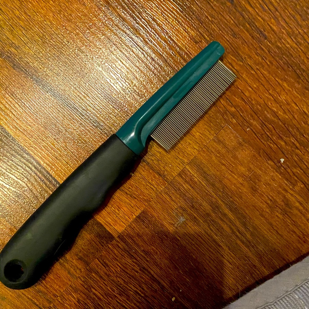 Small 🐈 grooming brush!